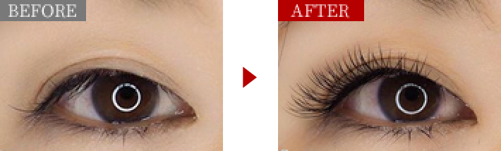 パーフェクトラッシュ